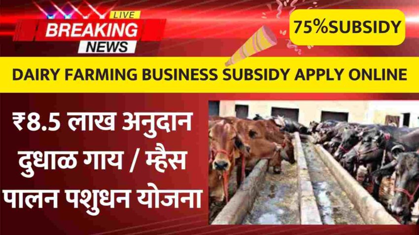 Dairy Farming Business Subsidy Apply Online