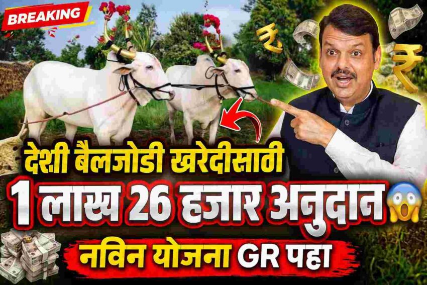 Deshi Bail Jodi Subsidy Yojana Apply Online: देशी बैल जोडी ₹1 लाख 26 हजार/-अनुदान योजना 2026 संपूर्ण माहिती | मुख्यमंत्री ग्रामीण पशुधन उद्योजकता योजना